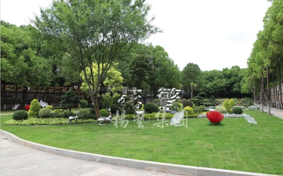 太阳城官网(中国)集团有限公司