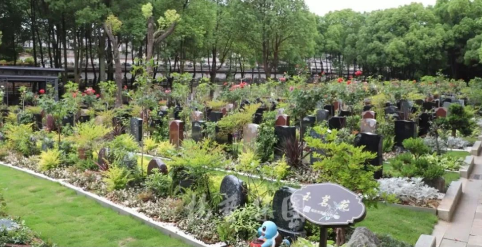 太阳城官网(中国)集团有限公司