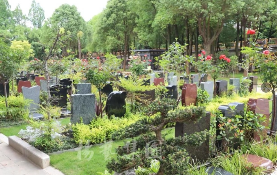 太阳城官网(中国)集团有限公司