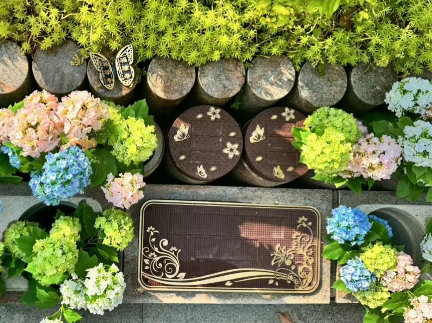 太阳城官网(中国)集团有限公司