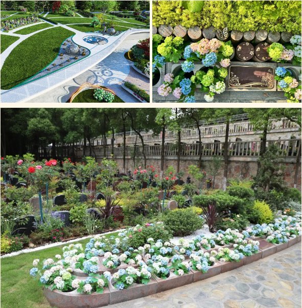 太阳城官网(中国)集团有限公司