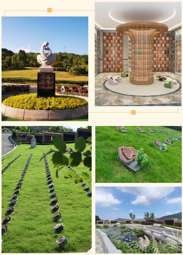 太阳城官网(中国)集团有限公司