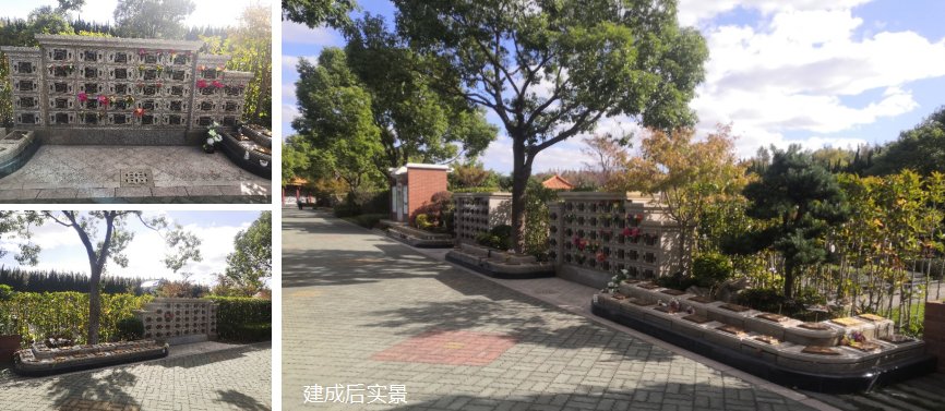 太阳城官网(中国)集团有限公司