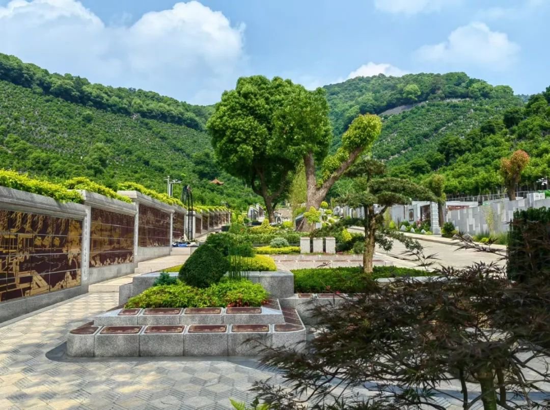 太阳城官网(中国)集团有限公司