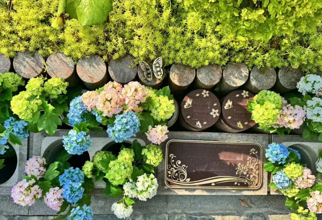 太阳城官网(中国)集团有限公司