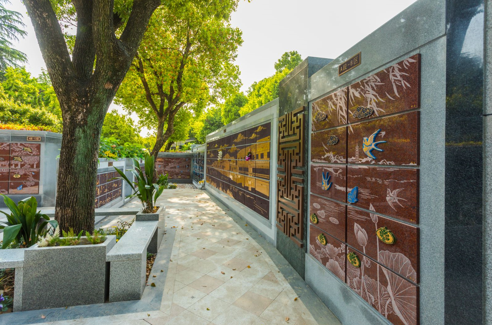 太阳城官网(中国)集团有限公司