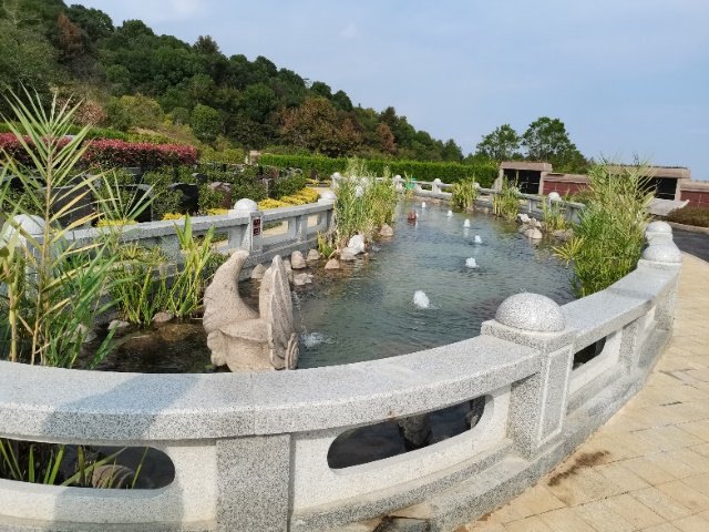 太阳城官网(中国)集团有限公司