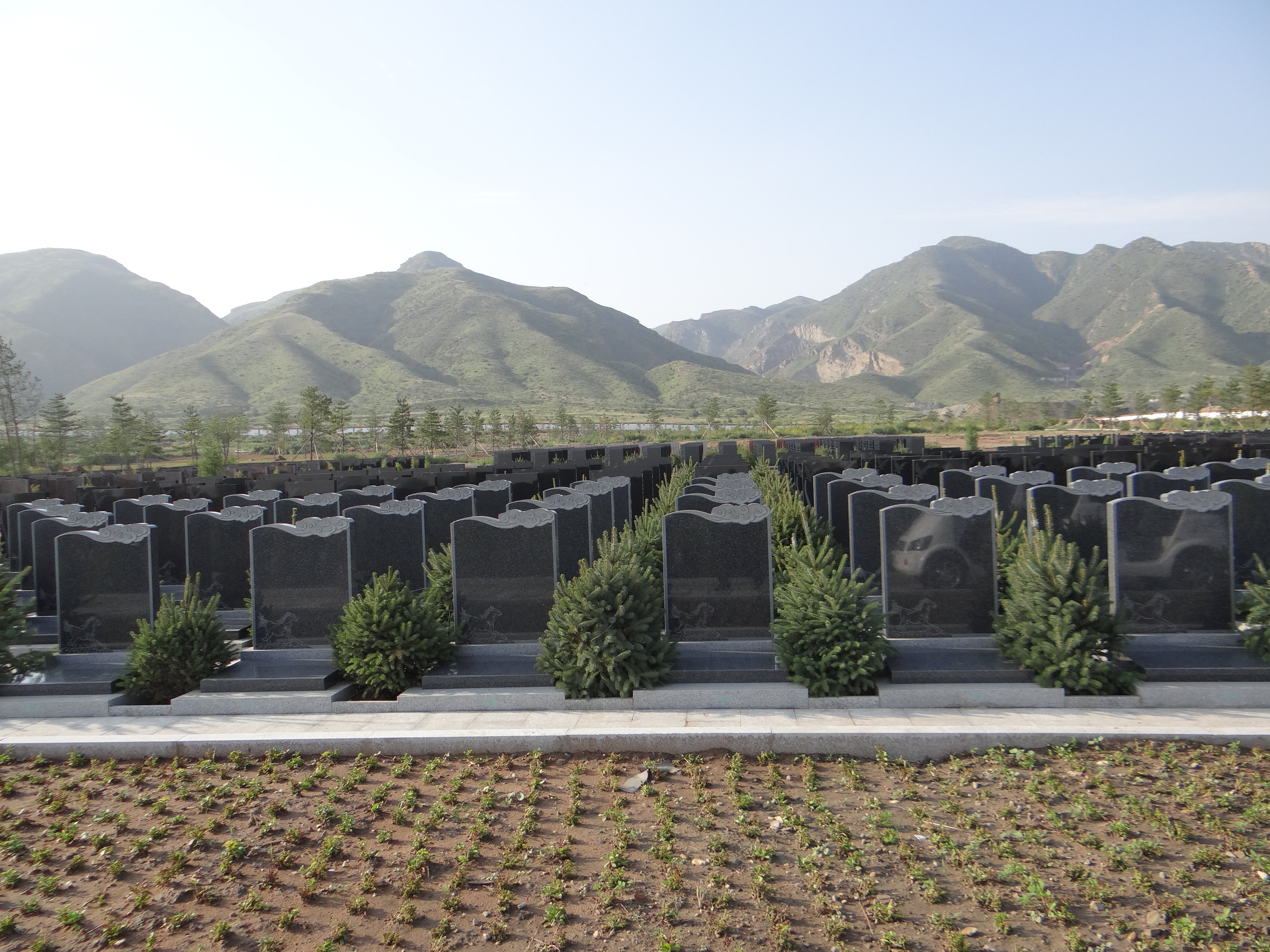 太阳城官网(中国)集团有限公司