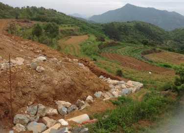 太阳城官网(中国)集团有限公司