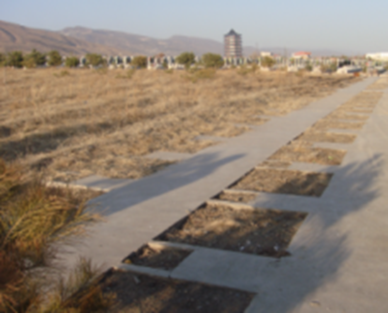 太阳城官网(中国)集团有限公司