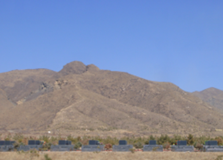 太阳城官网(中国)集团有限公司