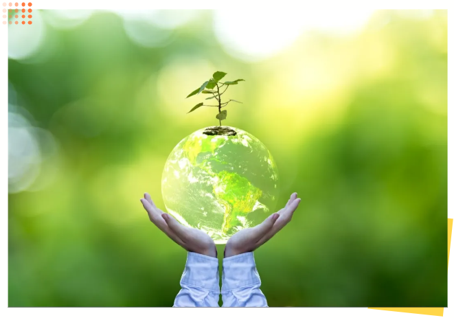 太阳城官网(中国)集团有限公司