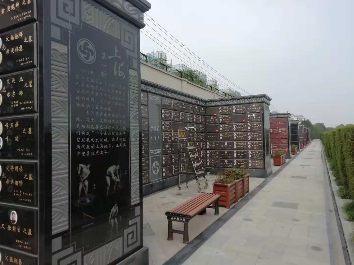 太阳城官网(中国)集团有限公司