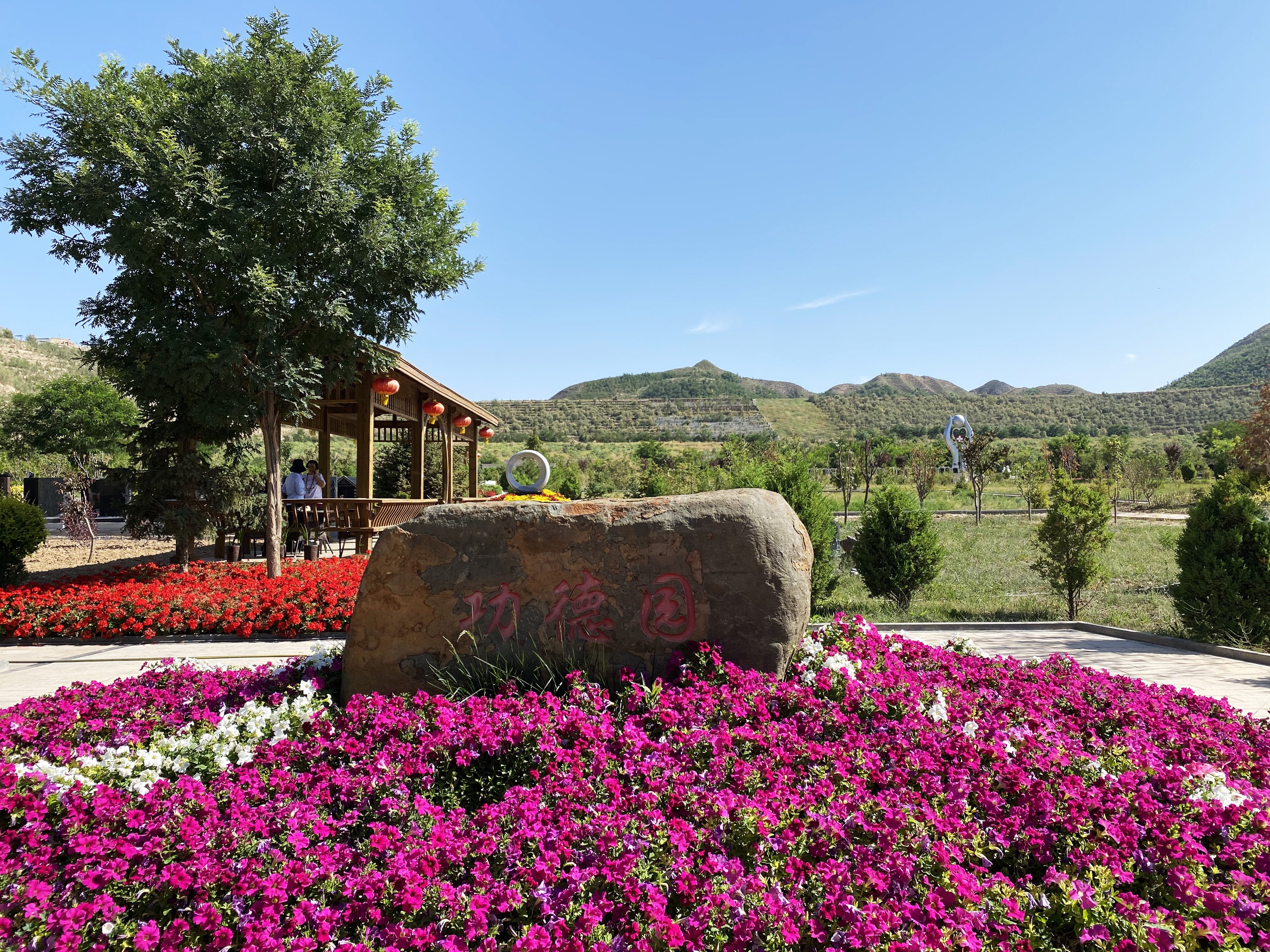 太阳城官网(中国)集团有限公司