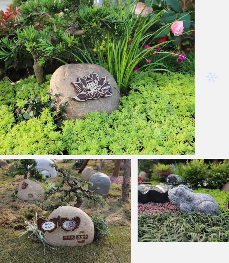 太阳城官网(中国)集团有限公司