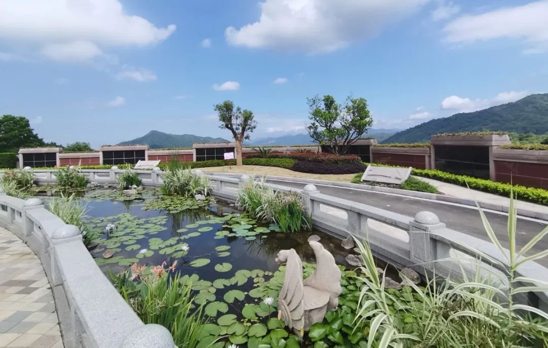 太阳城官网(中国)集团有限公司