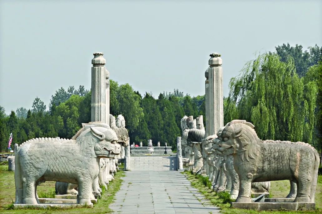 太阳城官网(中国)集团有限公司