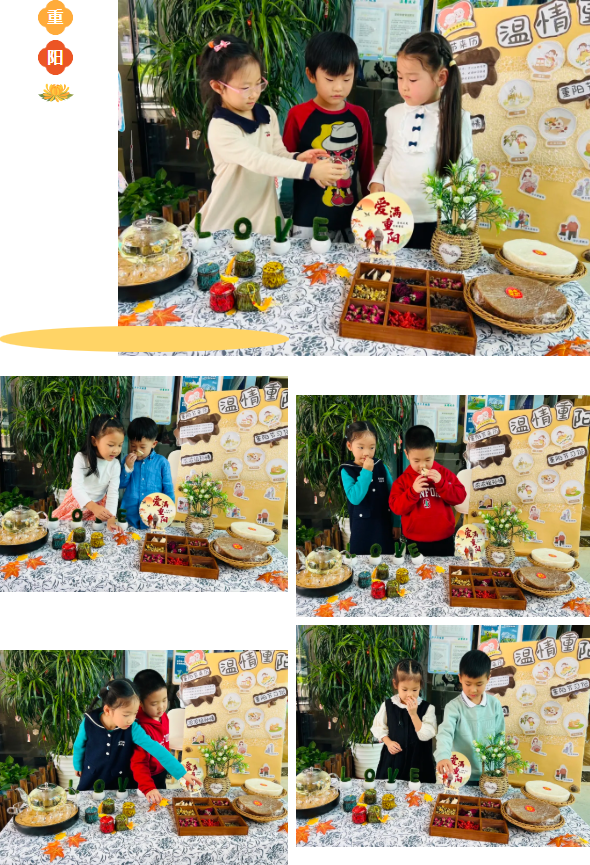 太阳城官网(中国)集团有限公司