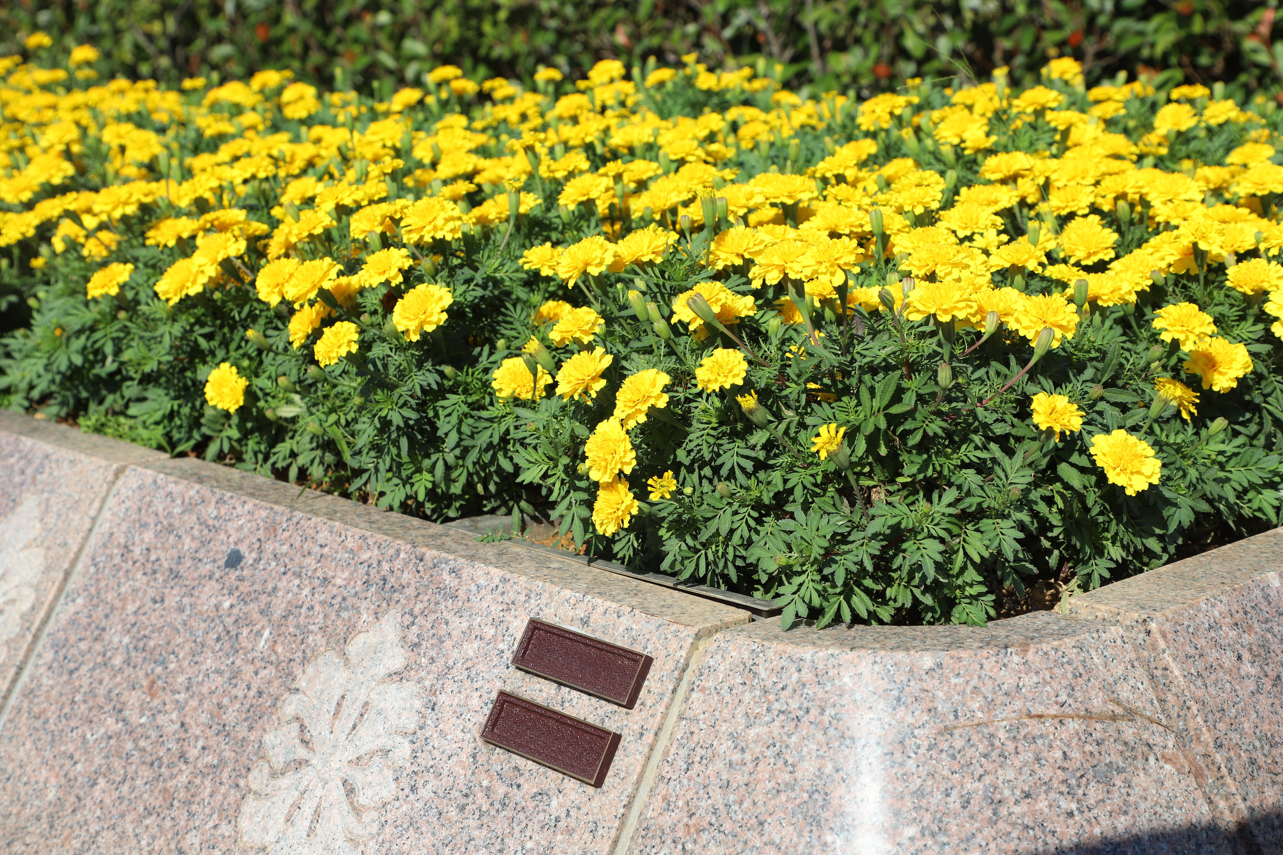 太阳城官网(中国)集团有限公司